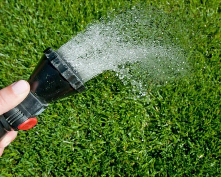 Maintenance & Care for Artificial Grass // TURF NETWORK