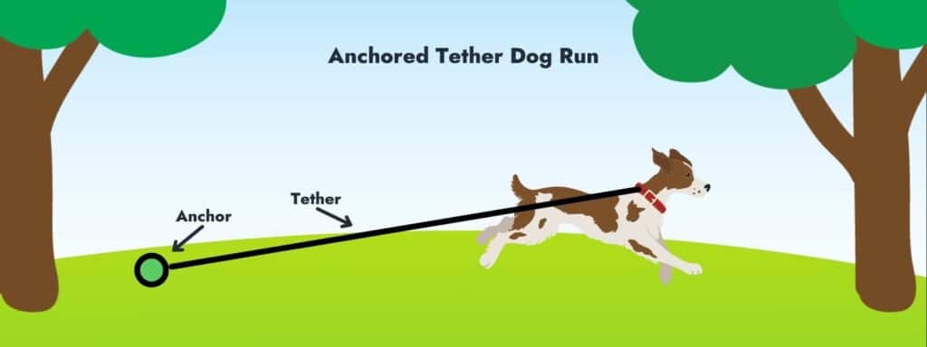 Anchored Tether Dog Run
