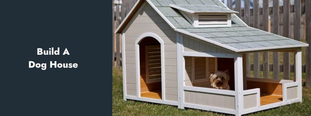 Build A Dog House