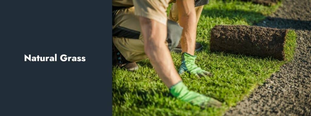 Natural Grass