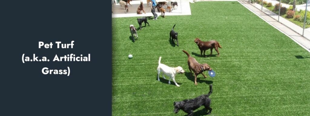 Pet Turf (a.k.a. Artificial Grass)
