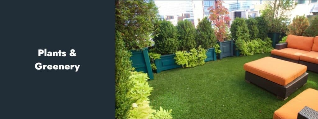 Plants & Greenery