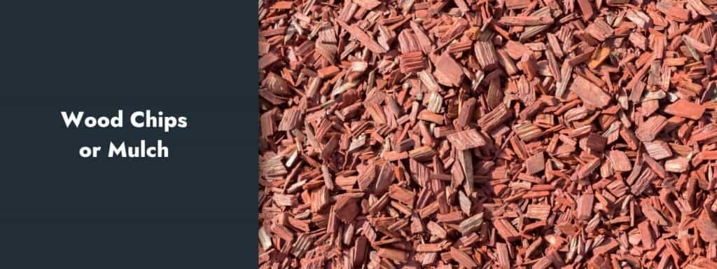 Wood Chips or Mulch