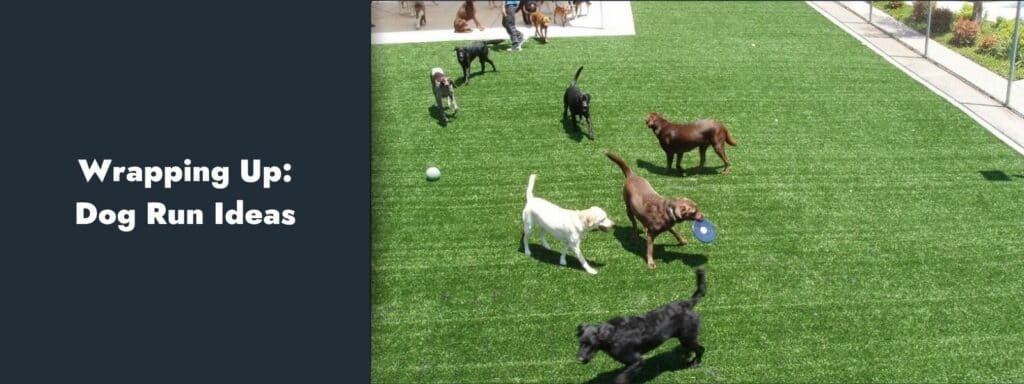 Wrapping Up- Dog Run Ideas & How To Build A Backyard Dog Potty Area