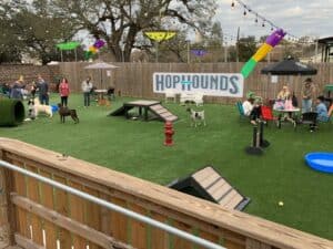 FusionTurf HopHounds Pet Area